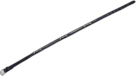 Produktbild von Gürtel Equithème