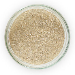 Produktbild von GVS Equistars Myo Equine - 55 g