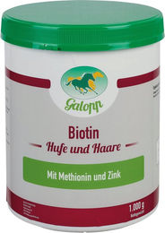 Galopp Biotin Haut-Fell-Supplement für Pferde 1 kg – Bild 1 von 3