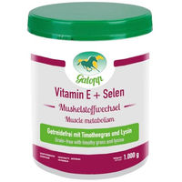 Produktbild von Galopp Vitamin E+Selen Ergänzungsfutter für Pferde 1 kg - 1 kg