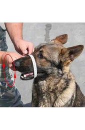 Gappay Eisen Maulkorb in tschechischer Art aus Metall für Pitbull-Terrier in Grau – Bild 1 von 2