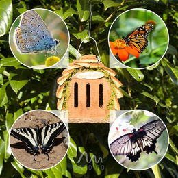 Produktbild von Gardigo Schmetterlingshaus aus Naturmaterial in Braun