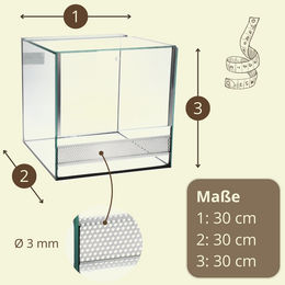 GarPet Glasterrarium für Spinnen und Reptilien 30x30x30 cm mit Belüftung und Falltür – Bild 1 von 6
