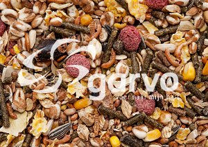 Garvo Hauptfutter für Hamster, Ratten und Rennmäuse 1,5 kg – Bild 1 von 3