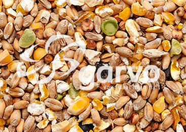 Garvo Hühnerfutter Ergänzungsfutter ohne tierisches Protein 4 kg – Bild 1 von 3