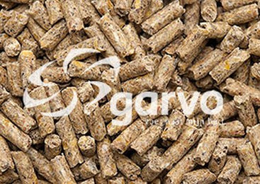 Garvo Komplettes Legekorn Hühnerfutter für Hühner 20 kg – Bild 1 von 3
