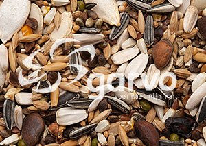 Garvo Papageienmischung Hauptfutter 3 kg – Bild 1 von 3