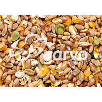 Produktbild von Garvo Scharrkorn Hühnerfutter ohne tierisches Protein 20 kg