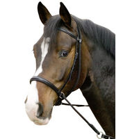 Produktbild von Gebisslose Trense Connection aus Leder in Schwarz für Warmblut Pferde