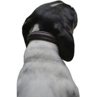 Produktbild von Geflochtenes Hundehalsband Dy'on Braun Größe M/L