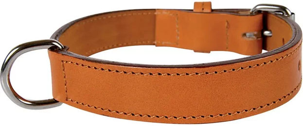 Produktbild von Gefüttertes Hundehalsband aus echtem Leder von Zolux in Orange oder Braun