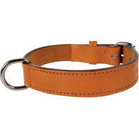 Produktbild von Gefüttertes Hundehalsband aus Leder von Zolux 70 cm in Braun oder Orange