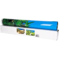 Produktbild von Genesis Aquatics Poster Süßwasser Natur