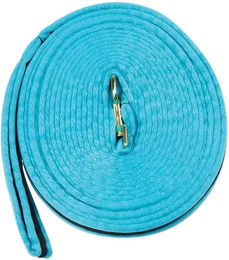 Produktbild von Gepolsterte Longe für Pferde Kincade Brights in Blau oder Türkis