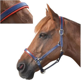 Produktbild von Gepolstertes Lederhalfter Canter für Ponys in Blau