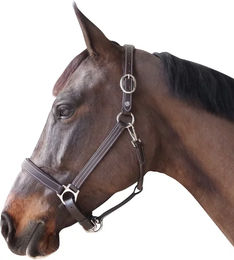 Produktbild von Gepolstertes Lederhalfter Canter für Ponys in Braun