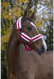 Gepolstertes Norton Comfort Halfter für Ponys aus Polyester in Rosa – Bild 1 von 2