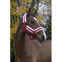 Produktbild von Gepolstertes Norton Comfort Halfter für Ponys aus Polyester in Rosa