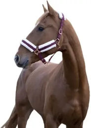 Gepolstertes Norton Comfort Halfter für Ponys in Bordeaux Rot aus Polyester – Bild 1 von 2
