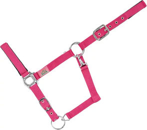 Gepolstertes Nylon-Halfter für Pferde USG in Rosa – Bild 1 von 1