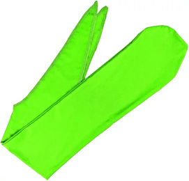 Produktbild von Gepolstertes Schabrackenset für Pferde mit Tasche von Umbria Equitazione aus Lycra in Grün