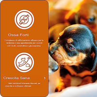 Produktbild von German Shephy Trockenfutter für Welpen Truthahn und Kartoffel Hypoallergen Getreidefrei 3kg - 3 kg