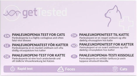 Produktbild von GetTested Panleukopeni-Test für Katzen zur Untersuchung von Immunsystem und Magen-Darm-Trakt