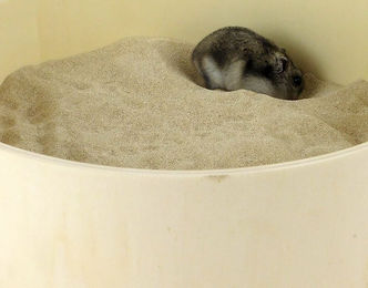 Getzoo Badesand Sepiolitsand zur Fellpflege für Nager und Exoten 2 kg - 2 kg – Bild 1 von 4