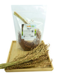 Getzoo Besenhirse getrocknet Bund – Bild 1 von 4