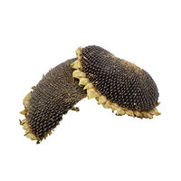 Produktbild von Getzoo Getrocknete Sonnenblumenköpfe Hälften und Stücke für Nager 2 Stück