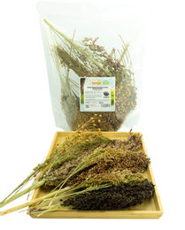 Getzoo Hirse Premium Mischung getrocknet – Bild 1 von 3