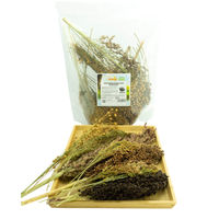 Produktbild von Getzoo Hirse Premium Mischung getrocknet