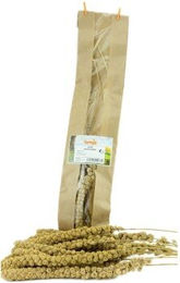Getzoo Knabberstange Gelbe Kolbenhirse für Kaninchen 5 Stück 60g – Bild 1 von 2