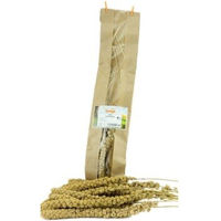Produktbild von Getzoo Knabberstange Gelbe Kolbenhirse für Kaninchen 5 Stück 60g