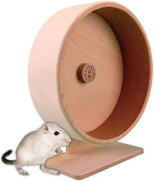 Getzoo Korklaufrad für Hamster und Mäuse mit austauschbarer Korkeinlage Ø 30 cm – Bild 1 von 11