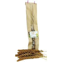 Produktbild von Getzoo Rote Kolbenhirse Knabberstange für Kaninchen und Nager 5 Stück