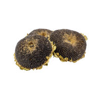 Produktbild von Getzoo Sonnenblumenkopf getrocknet 3 Stück