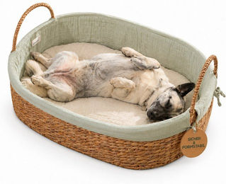 Geuther Hundekorb aus natürlicher Wasserhyazinthe und Bio-Baumwolle – Bild 1 von 3