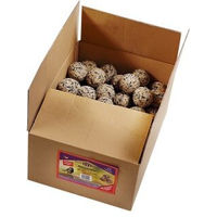 Produktbild von GEVO Meisenknödel für Wildvögel ohne Netz 100 Stück 9 kg