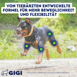 GIGI VET Aktive Hunde Gelenke & Knochen Tabletten mit Kollagen und Hyaluronsäure 90 Stück - 90 x 216 g – Bild 1 von 4