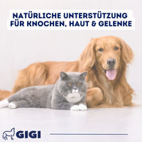 Produktbild von GIGI VET Calci-Cod-Omega Kapseln mit Omega-3 für Haut, Fell und Gelenke 90 Stück