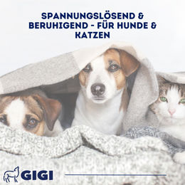 GIGI VET da-ba RELAX Plus Kautabletten mit Baldrian und Melisse zur Beruhigung für Hunde und Katzen 30 Stück - 30 x 1,2 g – Bild 1 von 8