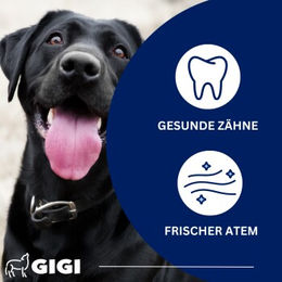 GIGI VET Dental Care Zahnpflege Pulver gegen Zahnbelag und Zahnstein 100 g – Bild 1 von 3