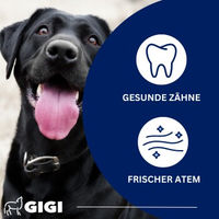 Produktbild von GIGI VET Dental Care Zahnpflege Pulver gegen Zahnbelag und Zahnstein 100 g