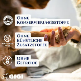 GIGI VET Harn & Blase Nahrungsergänzung Kapseln für alle Altersstufen 90 Stück – Bild 1 von 4
