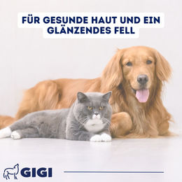GIGI VET Haut & Fell Supplement Tabletten für Hunde und Katzen 30 Stück - 21 x 33 g – Bild 1 von 4