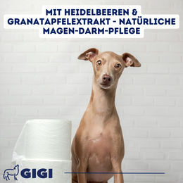 GIGI VET Magen & Darm Komfort Tabletten für große Hunde 130 Stück - 80 x 128 g – Bild 1 von 4