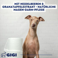 Produktbild von GIGI VET Magen & Darm Komfort Tabletten für große Hunde 130 Stück - 80 x 128 g