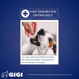 GIGI VET Magen & Darm Komfort Verdauungshilfe für kleine Hunde und Katzen 60 Tabletten - 60 x 20 g – Bild 1 von 3