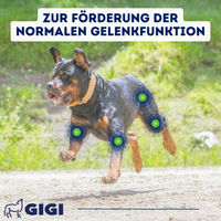 Produktbild von GIGI VET Senioren Gelenke & Knochen Supplement für Hunde 216g - 216 g